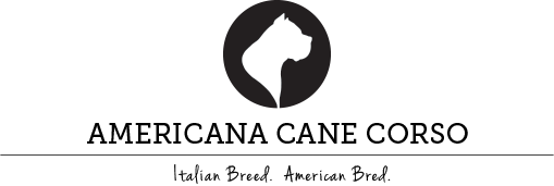 Workflow Automation Pro Client